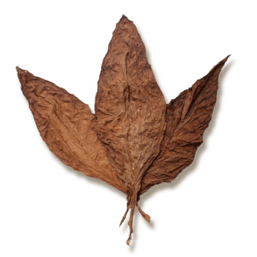 grabba-leaf