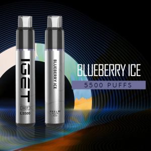 IGET Nicotine Vapes – Blueberry Ice