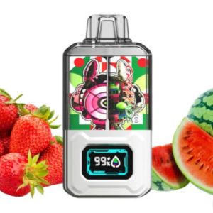 CRAZYACE Vape 15000 Puffs Dual Tank – Strawberry Watermelon